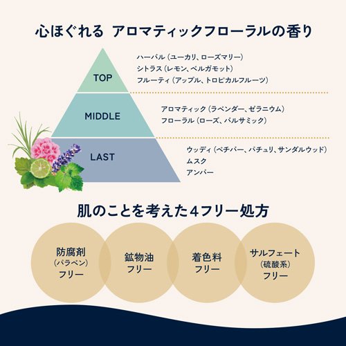 Deo Carat 藥用體味護理沐浴露 商品介紹