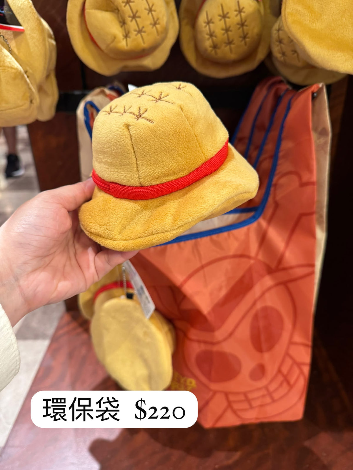 ONE PIECE ECO BAG