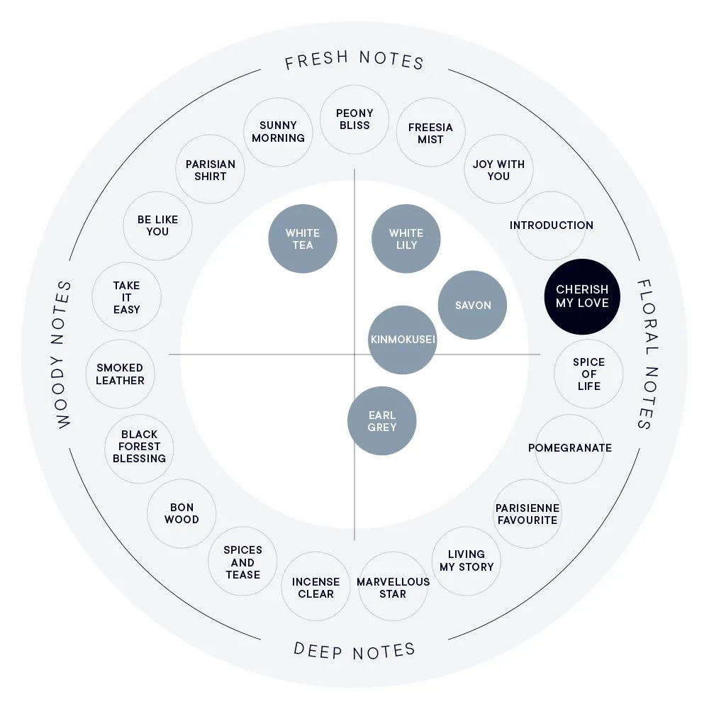 【SHIRO】Hand Serum丨CHERISH MY LOVE 珍愛之心丨IroIro Select Shop