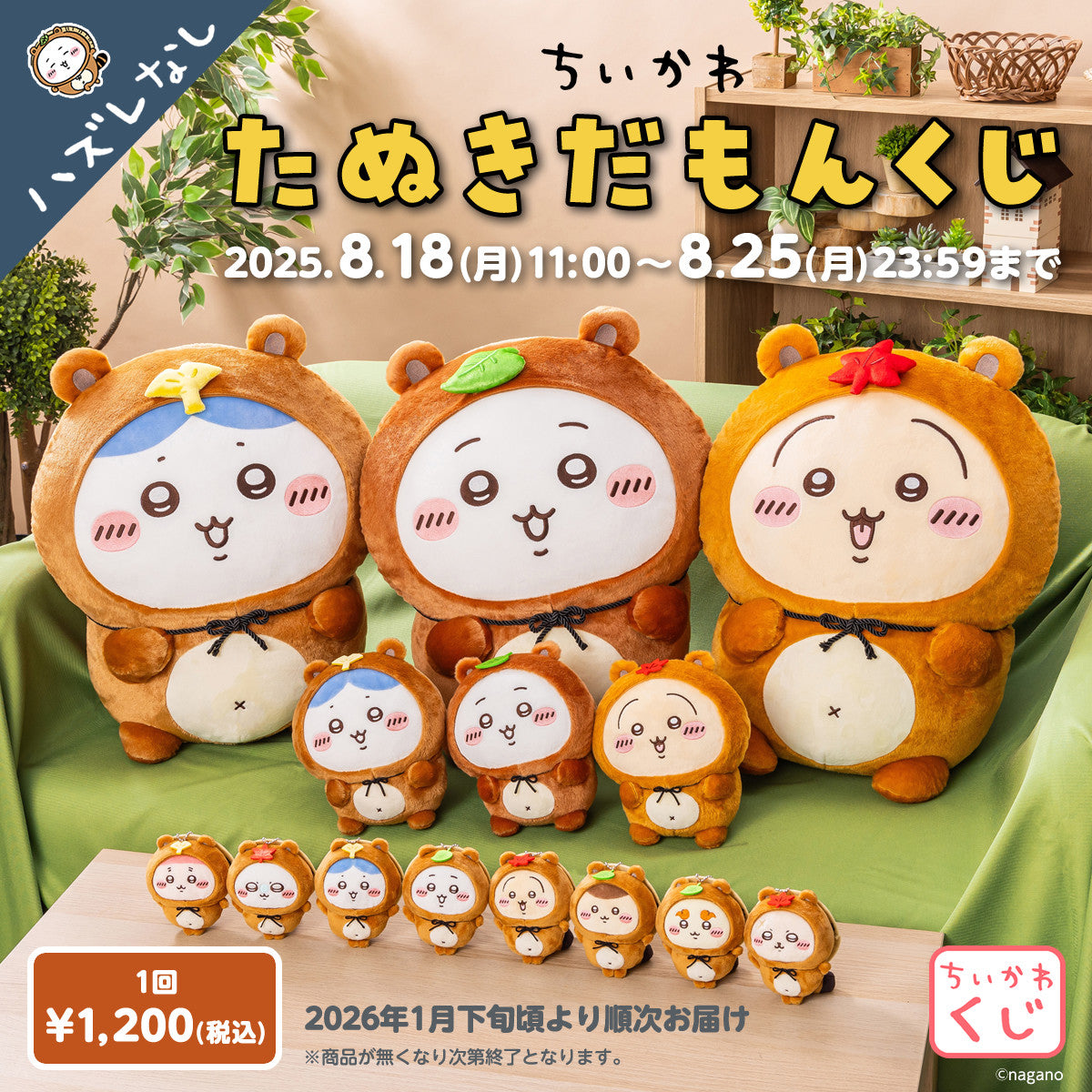 Chiikawa狸貓系列一番賞