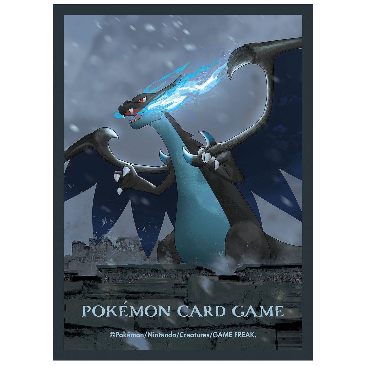 Pokemon TCG 超級噴火龍X卡套