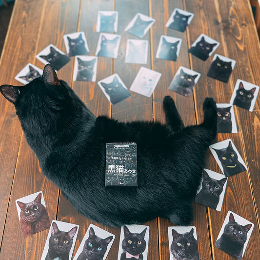 黑貓あわせ 黑貓卡牌近拍細節
