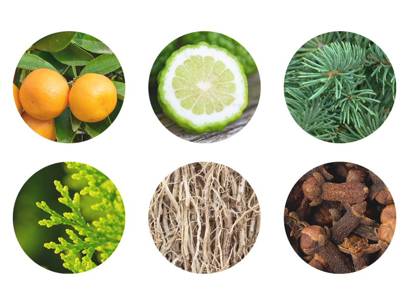 OSAJI Dewy Styling Oil