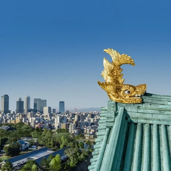 【ゆきおYukio】Japanese Regional Series丨Nagoya Golden Eagle