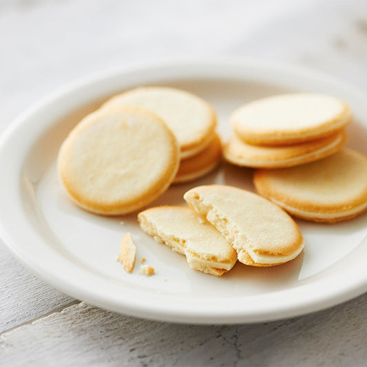 【LeTAO】小樽色內通 芝士朱古力貓舌餅|Fromage Langue de Chat丨IroIro Select Shop