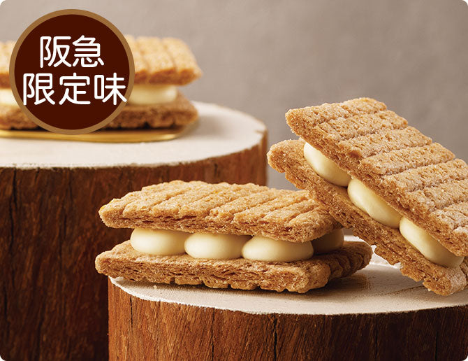 【Sugar Butter Tree】All-Star 雜錦口味盒裝丨56個入丨數量限定