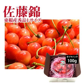 【Yukio】Japan Regional Series | Yamagata Cherry