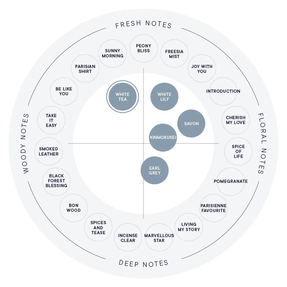 【SHIRO】Hand Serum丨WHITE TEA 白茶