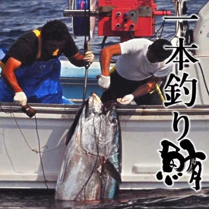 【ゆきお Yukio】日本地方系列丨大間鮪魚