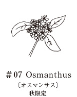 AUX PARADIS #07 Osmanthus 瓶身特寫，酒精濃度77%日本專櫃產品