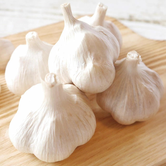 【Yukio】Japan Local Series | Aomori Garlic