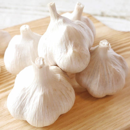 【Yukio】Japan Local Series | Aomori Garlic