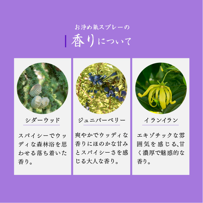 【おいせさん】お浄め気スプレー｜能量充電噴霧