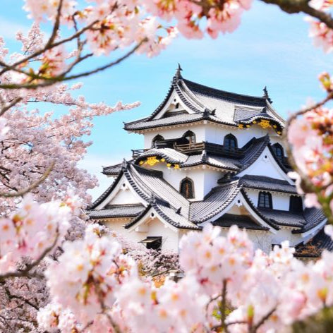 【ゆきお Yukio】日本地方系列丨滋賀彥根城