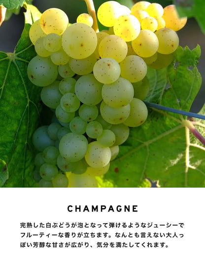 【SHOLAYERED】Non-alcoholic Perfume 無酒精香水丨CHAMPAGNE丨香檳丨IroIro Select Shop