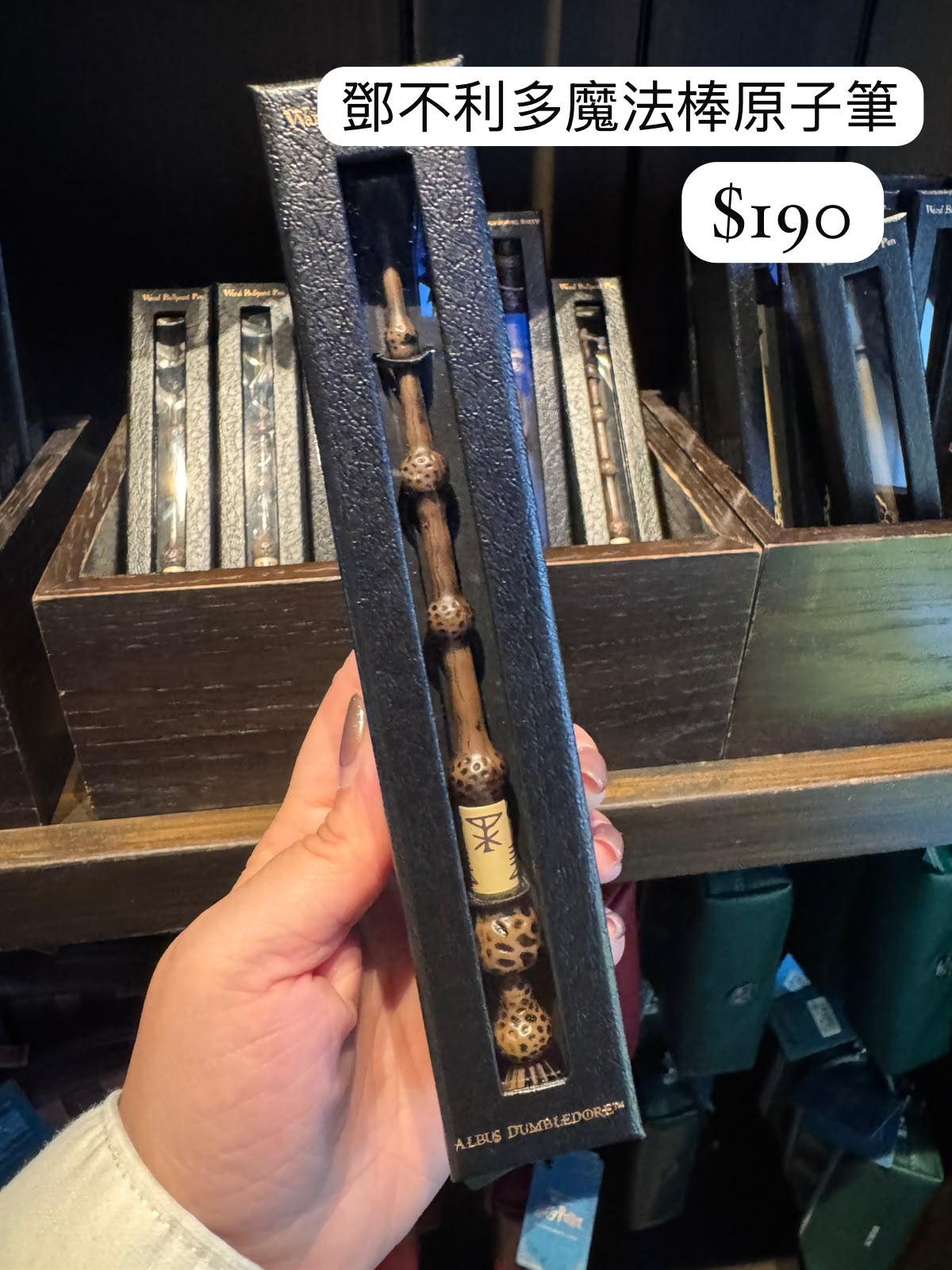 Harry Potter 魔法棒造型筆 (4個角色款)