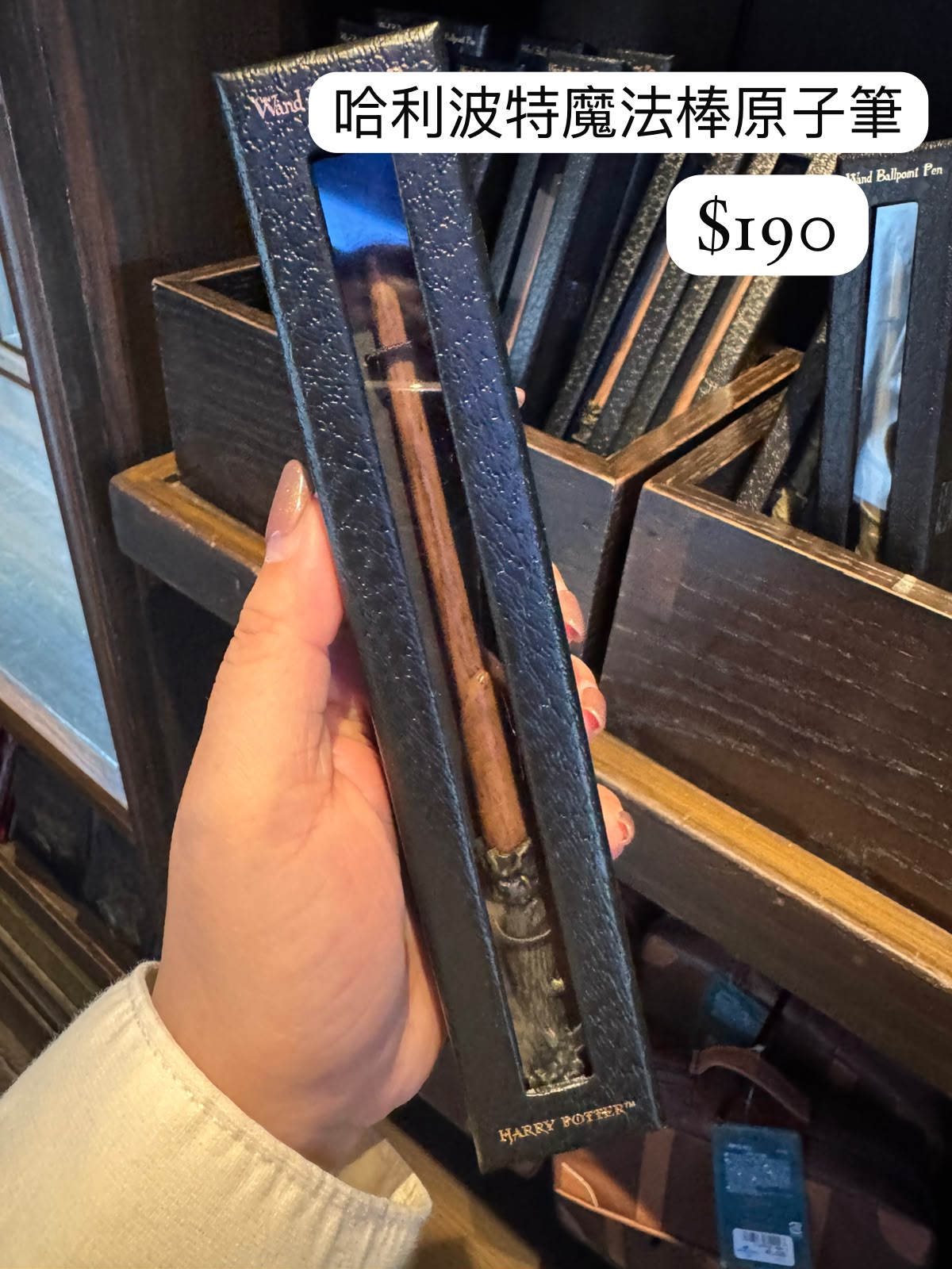 Harry Potter 魔法棒造型筆 (4個角色款)