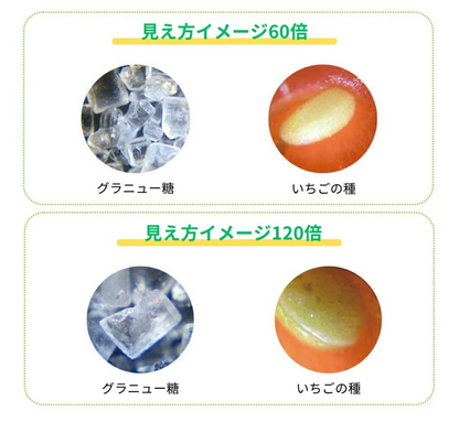 【Raymay 自然學習館】Handy Microscope ZOOM丨學習觀察用手提顯微鏡 ZOOM