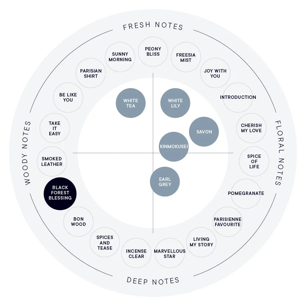 【SHIRO】Hand Serum丨BLACK FOREST BLESSING 黑森林祝福丨IroIro Select Shop