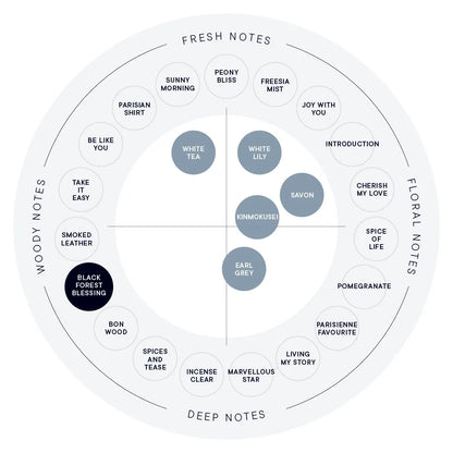 【SHIRO】Hand Serum丨BLACK FOREST BLESSING 黑森林祝福丨IroIro Select Shop