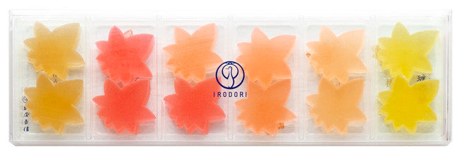 [期間限定] 鶴屋吉信 IRODORI 紅葉琥珀糖丨12枚入
