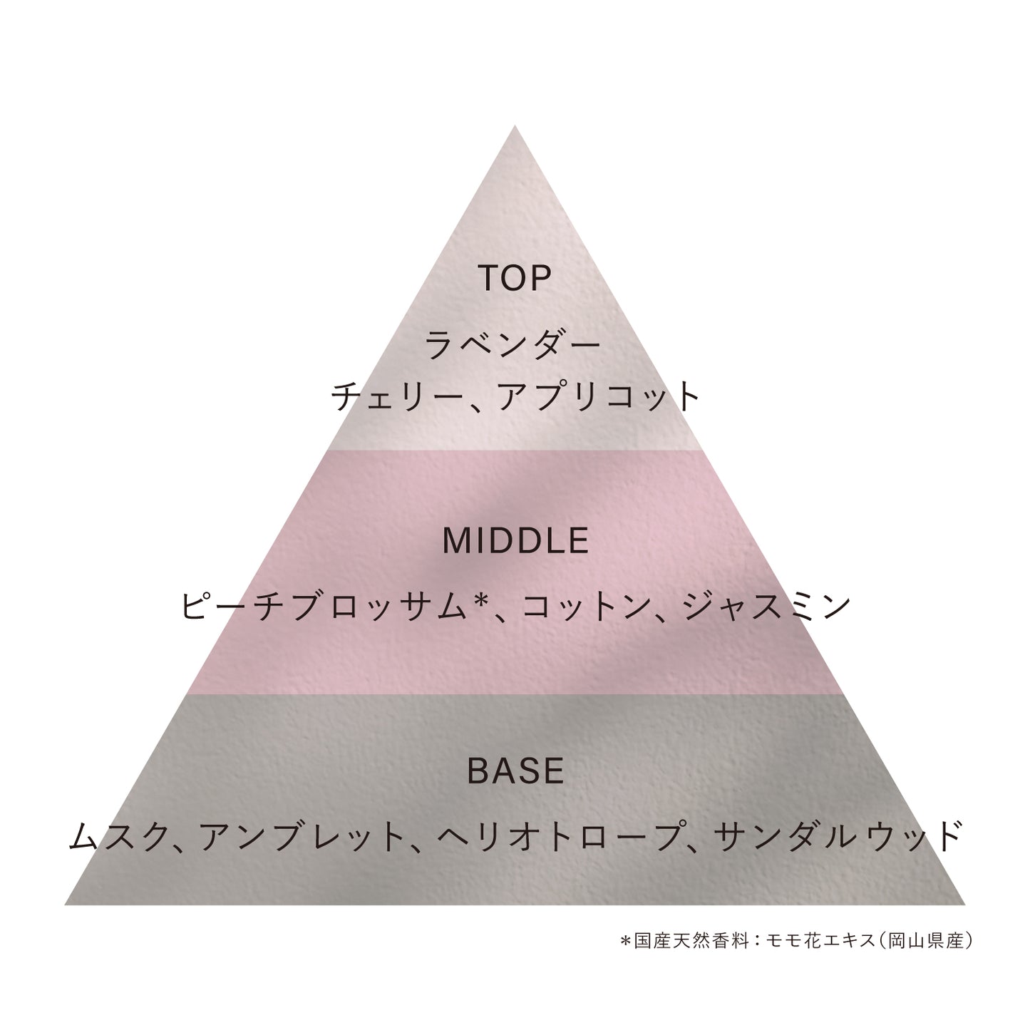 【OSAJI】 Preposition系列淡香水丨in