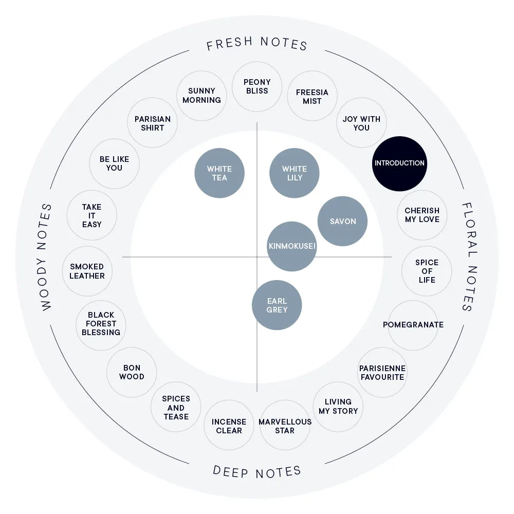 【SHIRO】Hand Serum丨INTRODUCTION 晨光亞麻