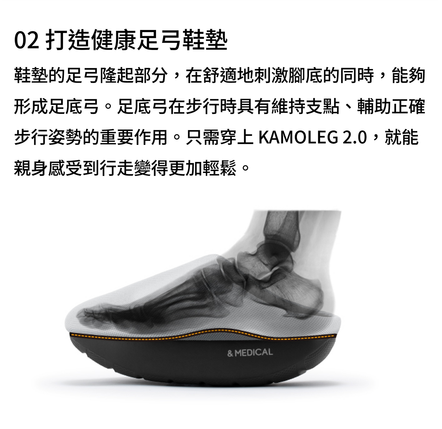 Kamoleg 2.0 肌肉鍛鍊示意圖，針對大腿、小腿、臀部及腸腰筋。