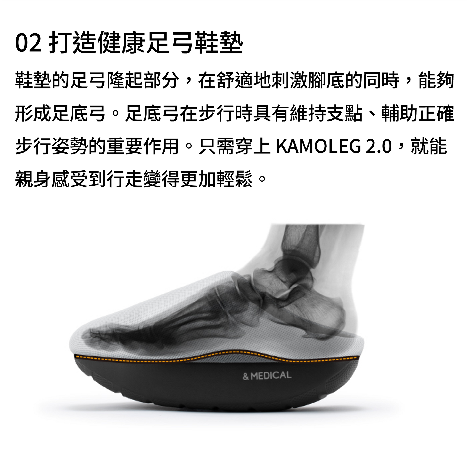 Kamoleg 2.0 肌肉鍛鍊示意圖，針對大腿、小腿、臀部及腸腰筋。