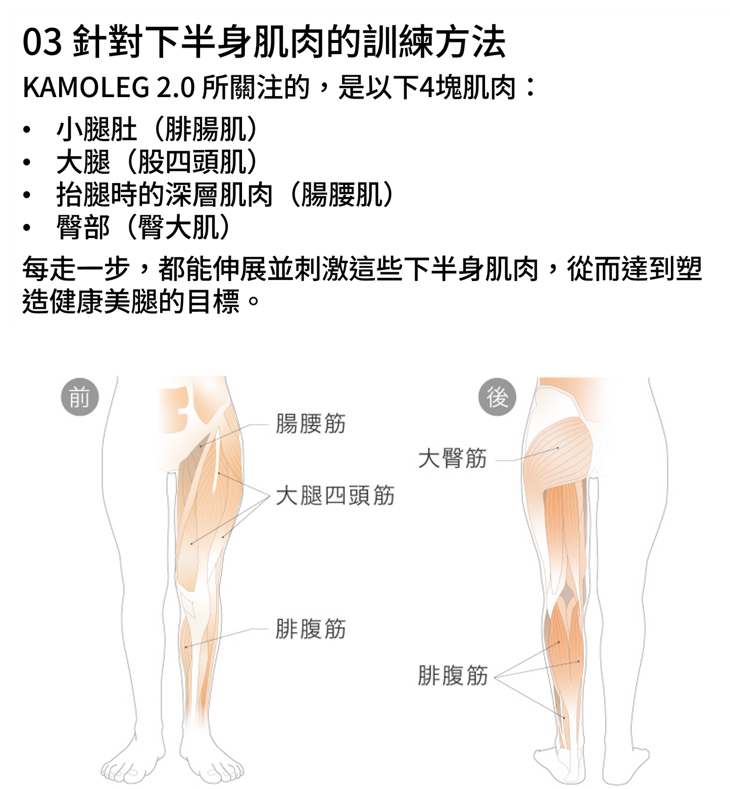 Kamoleg 2.0 肌肉鍛鍊示意圖，針對大腿、小腿、臀部及腸腰筋。