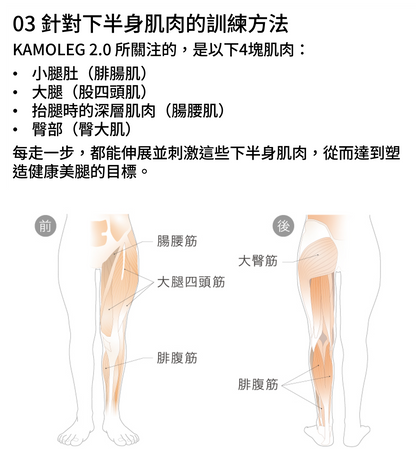 Kamoleg 2.0 肌肉鍛鍊示意圖，針對大腿、小腿、臀部及腸腰筋。