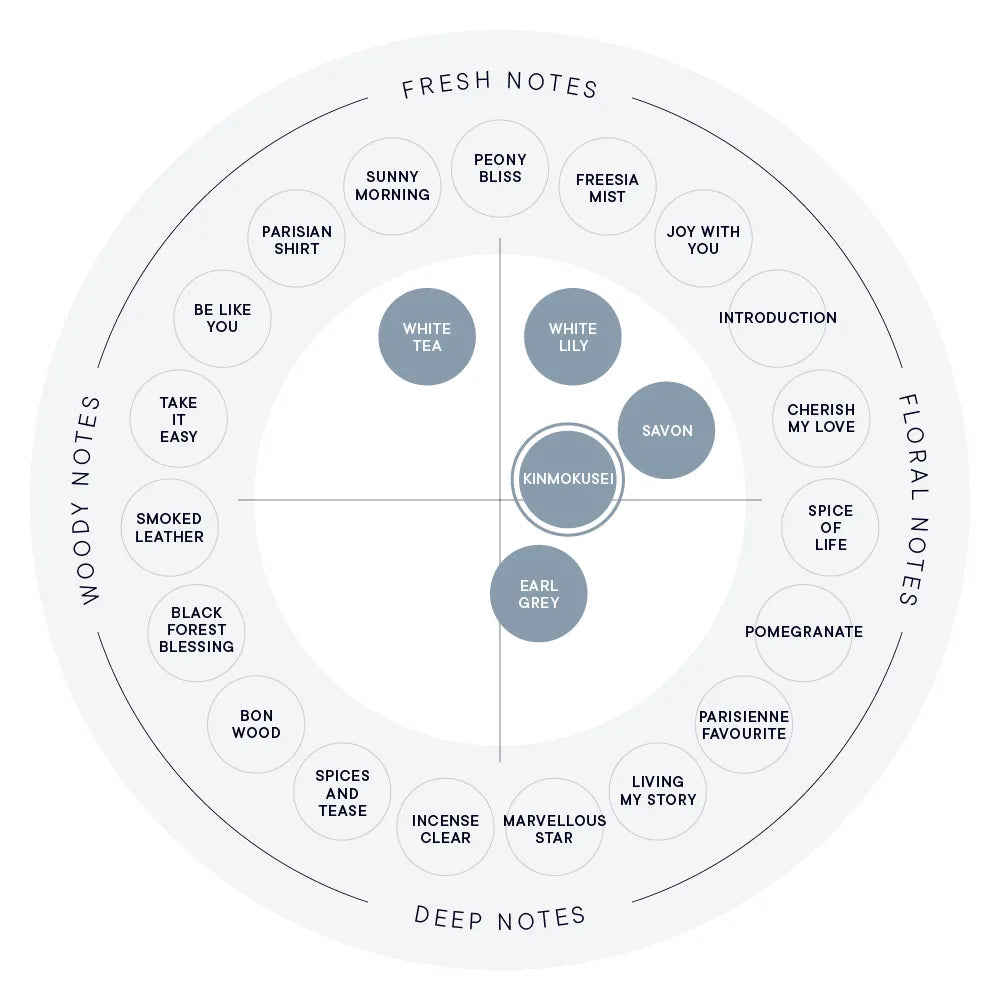 【SHIRO】Hand Serum丨KINMOKUSEI 金木犀