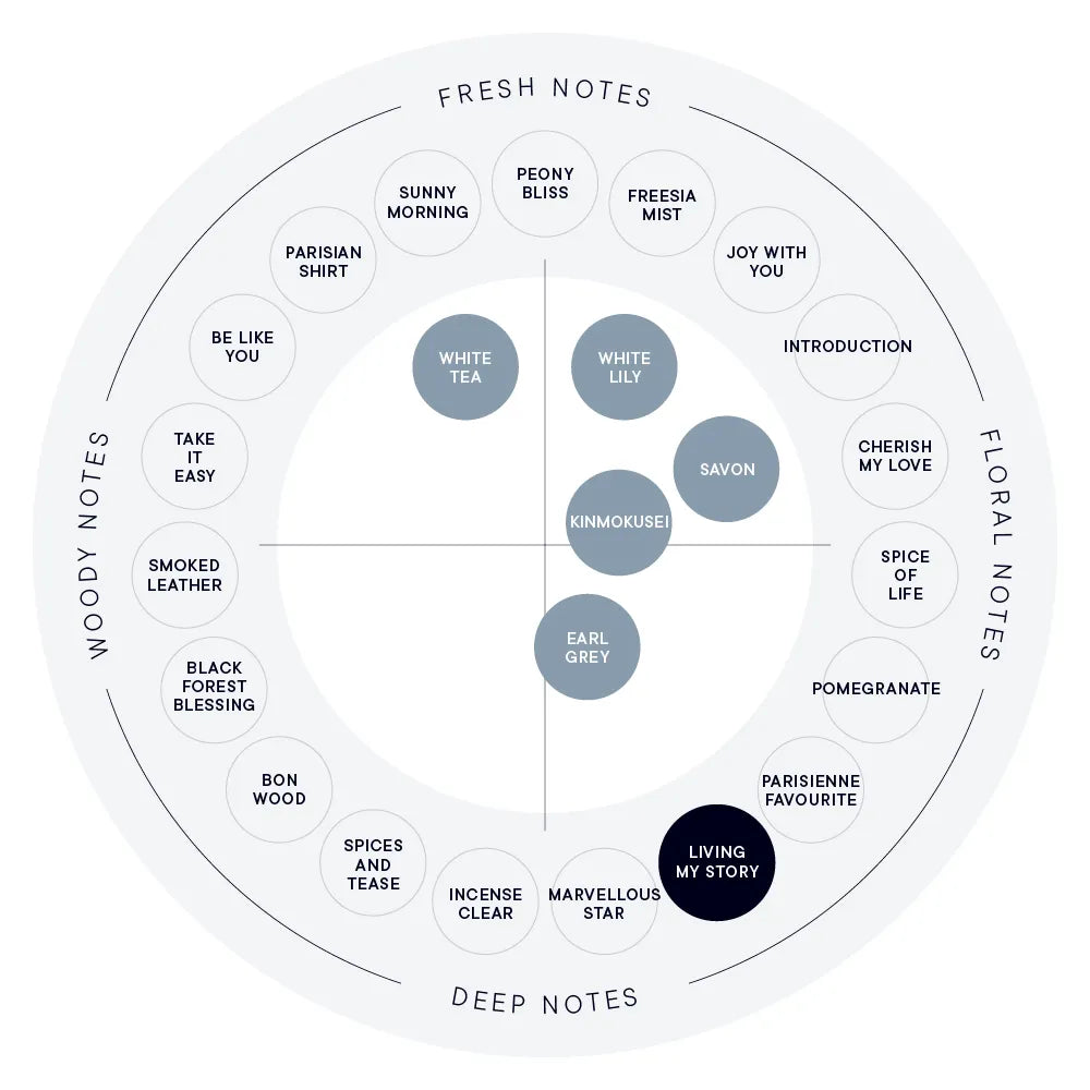 【SHIRO】Hand Serum丨LIVING MY STORY 我的篇章丨IroIro Select Shop