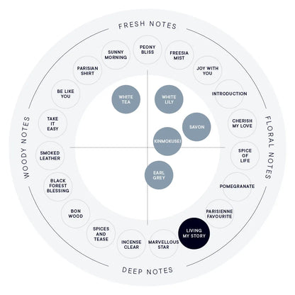 【SHIRO】Hand Serum丨LIVING MY STORY 我的篇章丨IroIro Select Shop