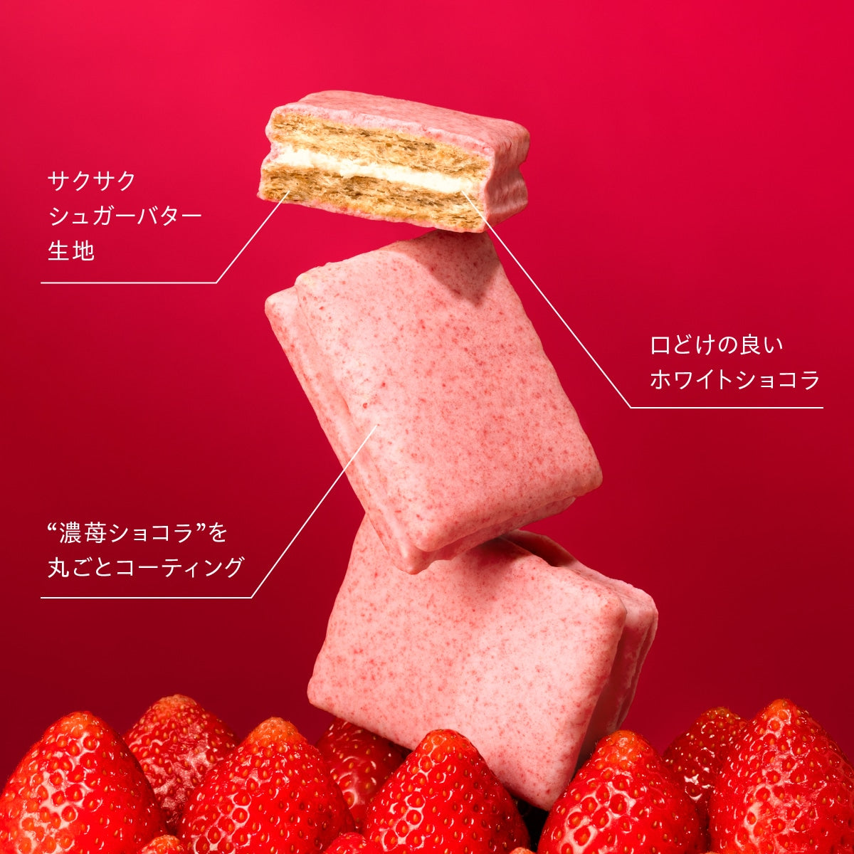 【Sugar Butter Sand Tree】士多啤梨白朱古力夾心餅丨IroIro Select Shop