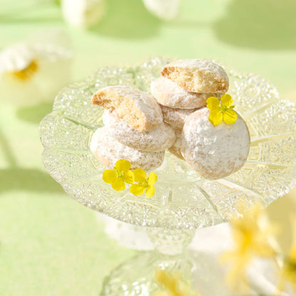 【白石洋菓子店】野花寫生曲奇禮盒丨春季限定丨IroIro Select Shop