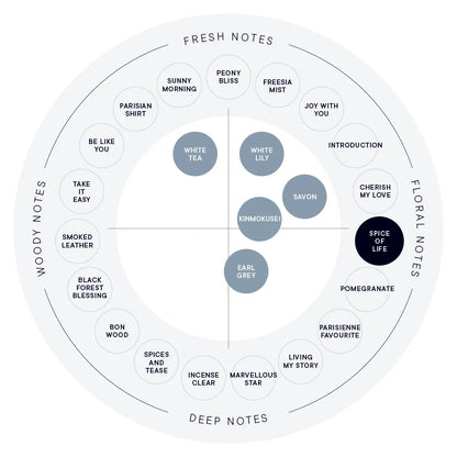 【SHIRO】Hand Serum丨SPICE OF LIFE 生命香辛