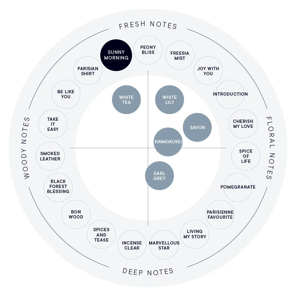 【SHIRO】Hand Serum丨SUNNY MORNING 晨光初醒丨IroIro Select Shop