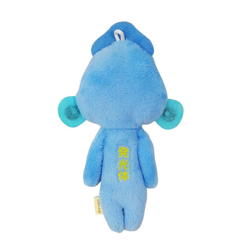 【Yukio】Japan Local Series | Toyama Bay Firefly Squid